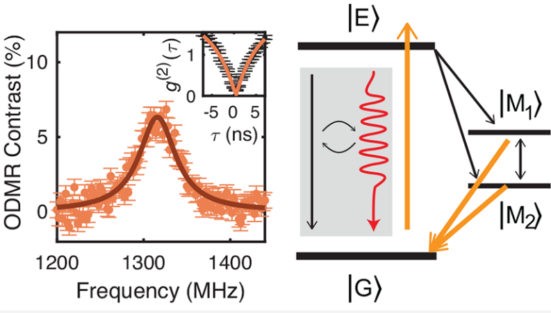 Room Temperature Dynamics of an Optically Addressable Single Spin in Hexagonal Boron Nitride